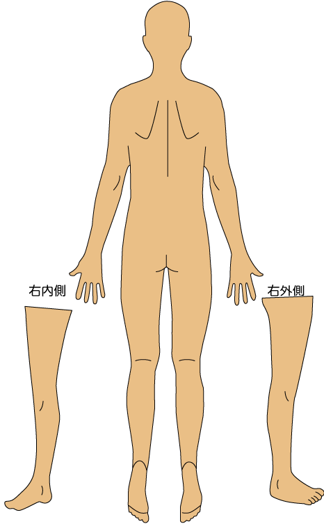 診療案内マップ後面